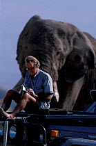 Iain Douglas-Hamilton with African elephant Amboseli NP Kenya