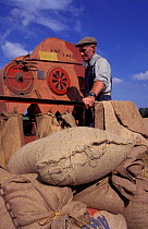 Barley harvest using 1951 combine harvester Devon UK The Farm that Time Forgot Roger