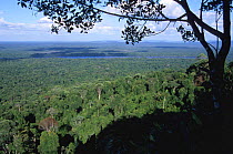 View over tropical rainforest and river, Iwokrama Reserve, Guyana, South America