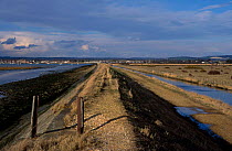 Sea wall along Chichester Harbour Thorney Island Sussex