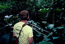 John Hart radio-tracking Okapi {Okapia johnstoni} research former Zaire now DR of Congo