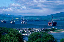 Oil rigs awaiting refit Cromarty Firth Scotland UK