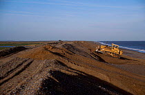 Bulldozer constructing sea defence with shingle Cley Norfolk UK