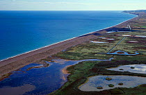 Shingle sea defences protect inland wetlands Cley Norfolk UK