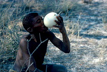 Kalahari bushman drinks water from Ostrich egg Botswana