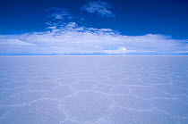 Polygon formations on surface of Uyuni Salt Pan Bolivia