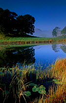 Elterwater Langdale Lake District Cumbria England UK