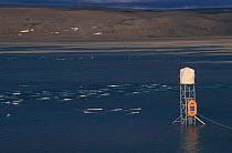 Scaffold tower for filming Beluga whales Someset Island Canadian arctic
