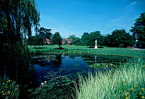 Village pond Buckland Surrey UK