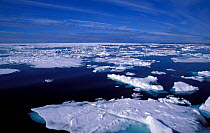 Ice sea and sky nr Kong Karis Land Svalbard Norway