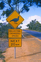 Road sign warning of Mallee fowl {Leipoa ocellata} Little Desert NP, Victoria, Australia