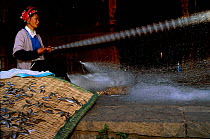 Bai woman repairing fishing net with cat playing, Dali town, Yanna, China (Ethnic minority)