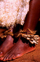 Zulu ankle rattles made from larvae of Green lunar moth Natal South Africa