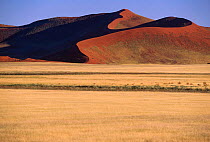Sand dunes + grass after rains Sossusvlei, Namib-Naukuft NP, Namibia