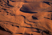 Aerial view of sand dunes after rains. Sossusvlei, Namib-Naukuft NP, Namibia
