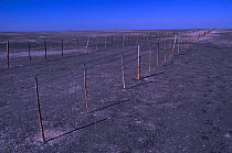 Game fence across Sua salt pan Makgadikgadi pans, Botswana