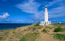 Trafalgar lighthouse Los Canos de Meca Barbate Cadiz Spain