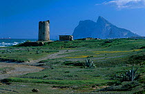 New Tower with Rock on Gibraltar behind Spain