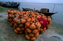 Pots waiting to be loaded onto boat at jetty Majuli Island Assam India