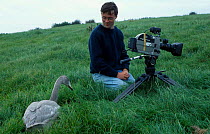 Camerman Barrie Britton with  Whooper swan. On location for BBC Life of Birds 1996
