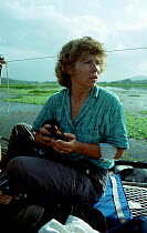 Wattled jacana {Jacana jacana} research project + Natalie Demong. Chagres river, Panama