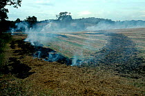 Burning stubble Hertfordshire UK 1992 illegal