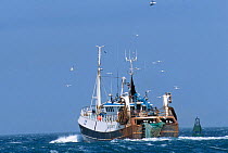 Fishing trawler going out to sea Sheltand Scotland UK June
