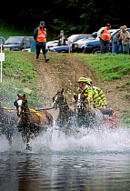 Horse driving team splashing through water Lowther driving trials Cumbria UK