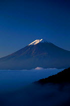 Mount Fuji rising above cloud level Kawaguchi Ko Japan