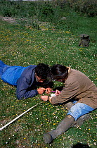Botanical survey Camargue France