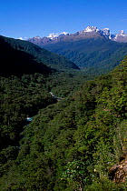 Lookout from on-high of Milford Road (into Milford Sound) Fjordland NP South Is NZ