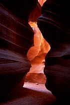 Canyon X Slot Canyons Page Arizona USA