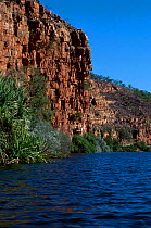 The Kimberleys landscape taken from river looking up at rock escarpments Western Australia