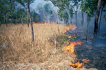 Controlled Bush fire, mosaic burning, Kakadu NP, Northern Territory, Australia 1994