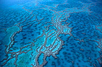 Aerial view of Hardy reef Great barrier reef Queensland Australia