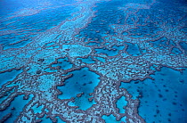 Aerial view of Hardy reef Great barrier reef Queensland Australia