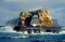 The Archway of Darwin Galapagos