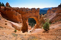 Natural bridge Bryce Canyon NP Utah USA. sandstone erosion