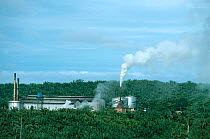 Pollution from Oil palm factory in plantation. Sabah Malaysia Indonesia. Smoke pollutes large