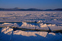 Sea ice in early spring Talan island Sea of Okhotsk East Russia