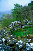 Ancient Pict building near shores of Loch Duich Scotland UK