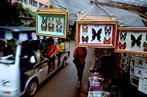 Street scene with framed butterflies for sale. Yunnan China. 2002