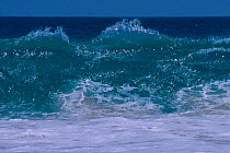 Waves breaking on Pedra Lume beach Sal Is Cape Verde W Africa