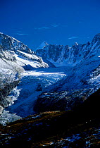 Glacier dArgentiere Massif du Mont Blanc Haute Savoie Alps France