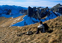 High ridges Haute Savoie with Alpine ibex (Capra ibex) hiker Haute Savoie Alps France