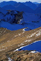 High ridges Haute Savoie with distant Alpine ibex (Capra ibex) Cornettes de Bise Alps France